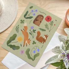 ilustrace —  Ježek A4