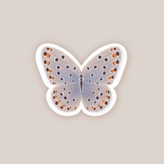 nálepka — Tygřík