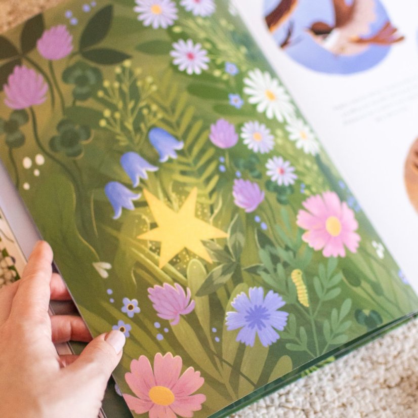 předprodej knihy Stella & Hvězda